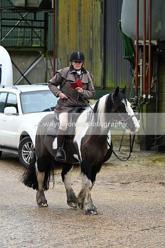 WJ7_8754 - Berks & Bucks - Rowles Farm 15-02-26