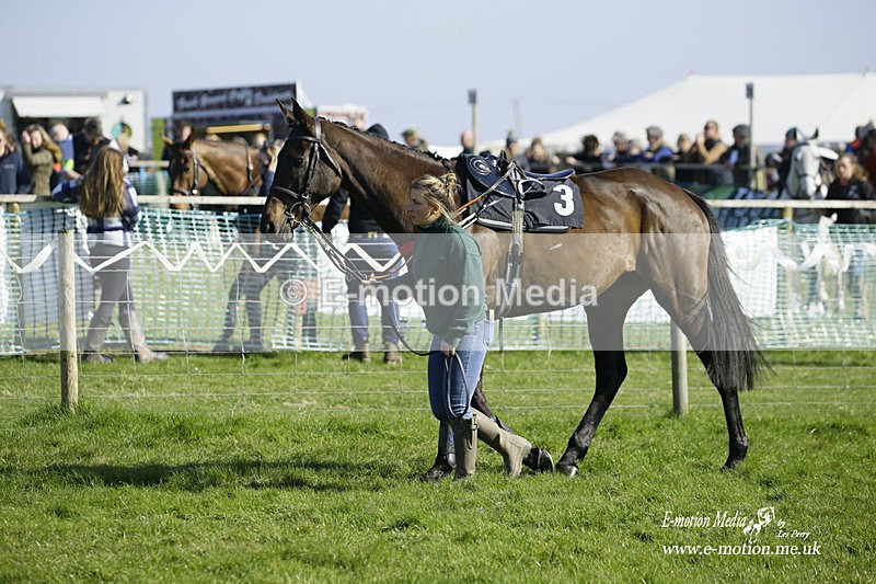 PtP 190322 548 - Wilton Hunt PtP Milborne St Andrew 19/03/22