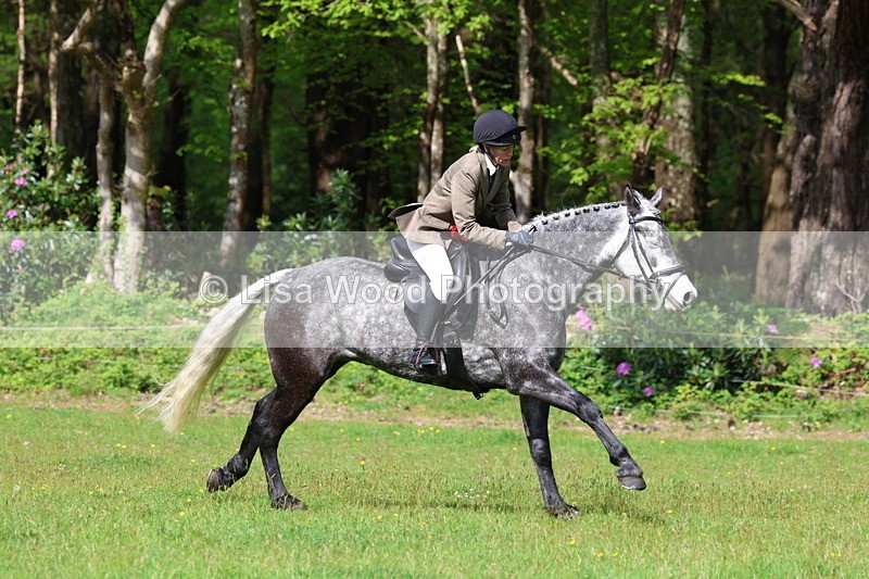 3E7A2695 - Working Hunter Championship