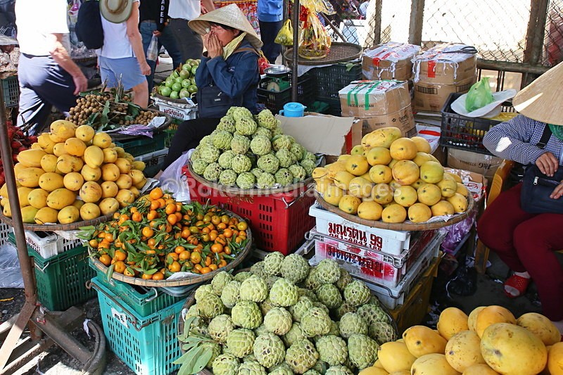 VIET_0849 - Vietnam 2017