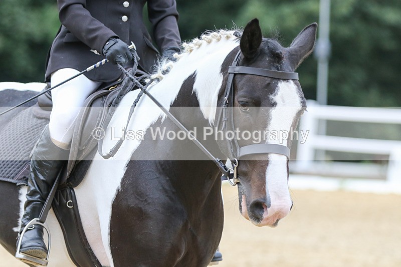 0I1A7023 - Class 9: Prelim Freestyle to Music