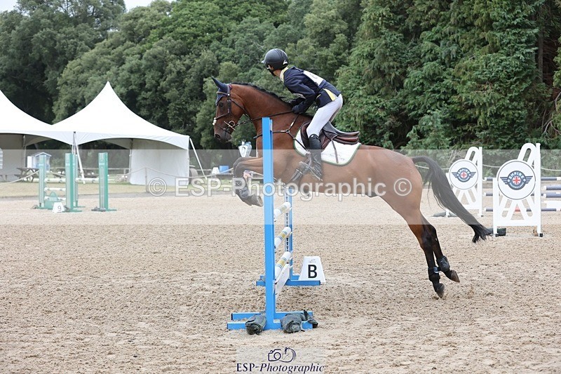 250803A-115233-12537 - N-612-Jeffrey.Wong-OPPOSITION.BOLERO