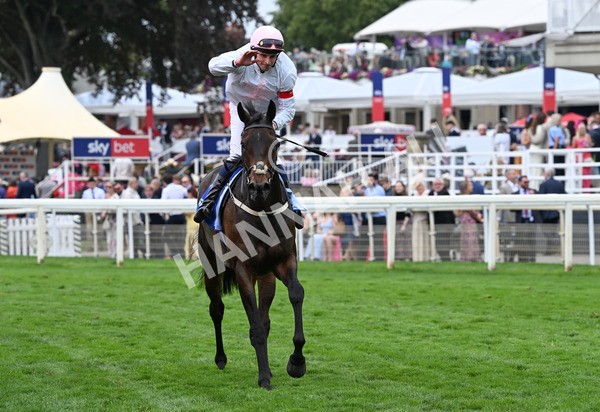 230825-141 Ethical Diamond - Race 4 3.35pm Sky Bet Ebor Handicap