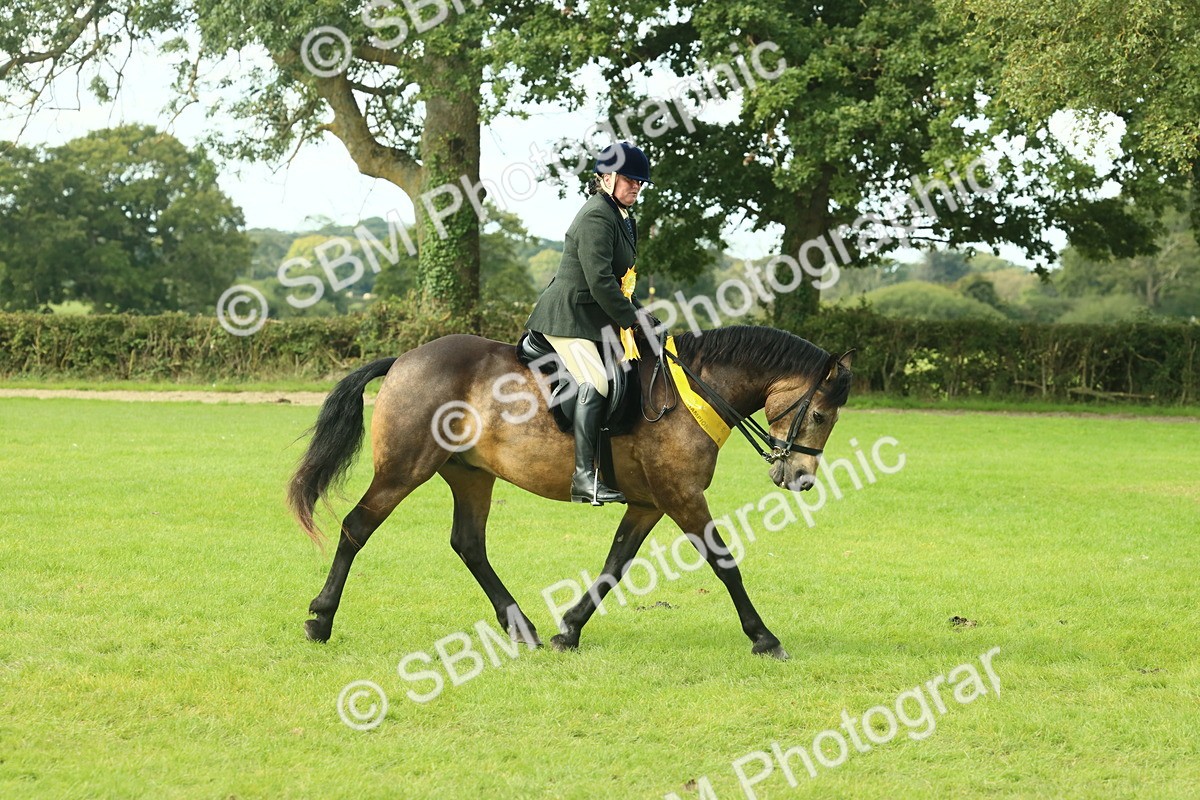 SBM_62714 - S63 - Other Coloured Horse Ridden