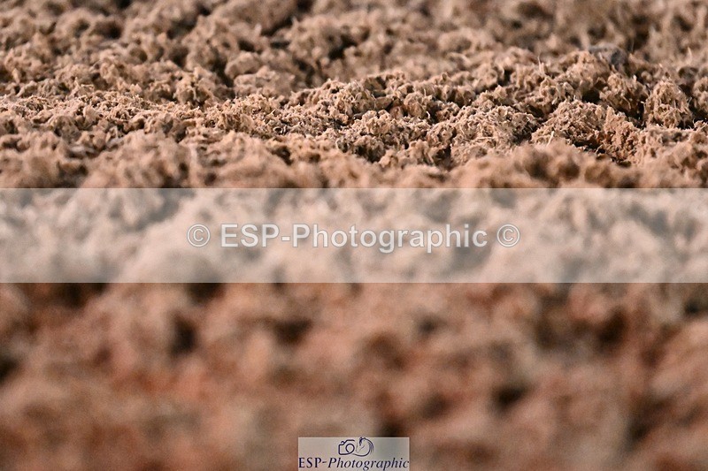 231105-172720-04688 - Cls 5 Novice 27 17.00 to End