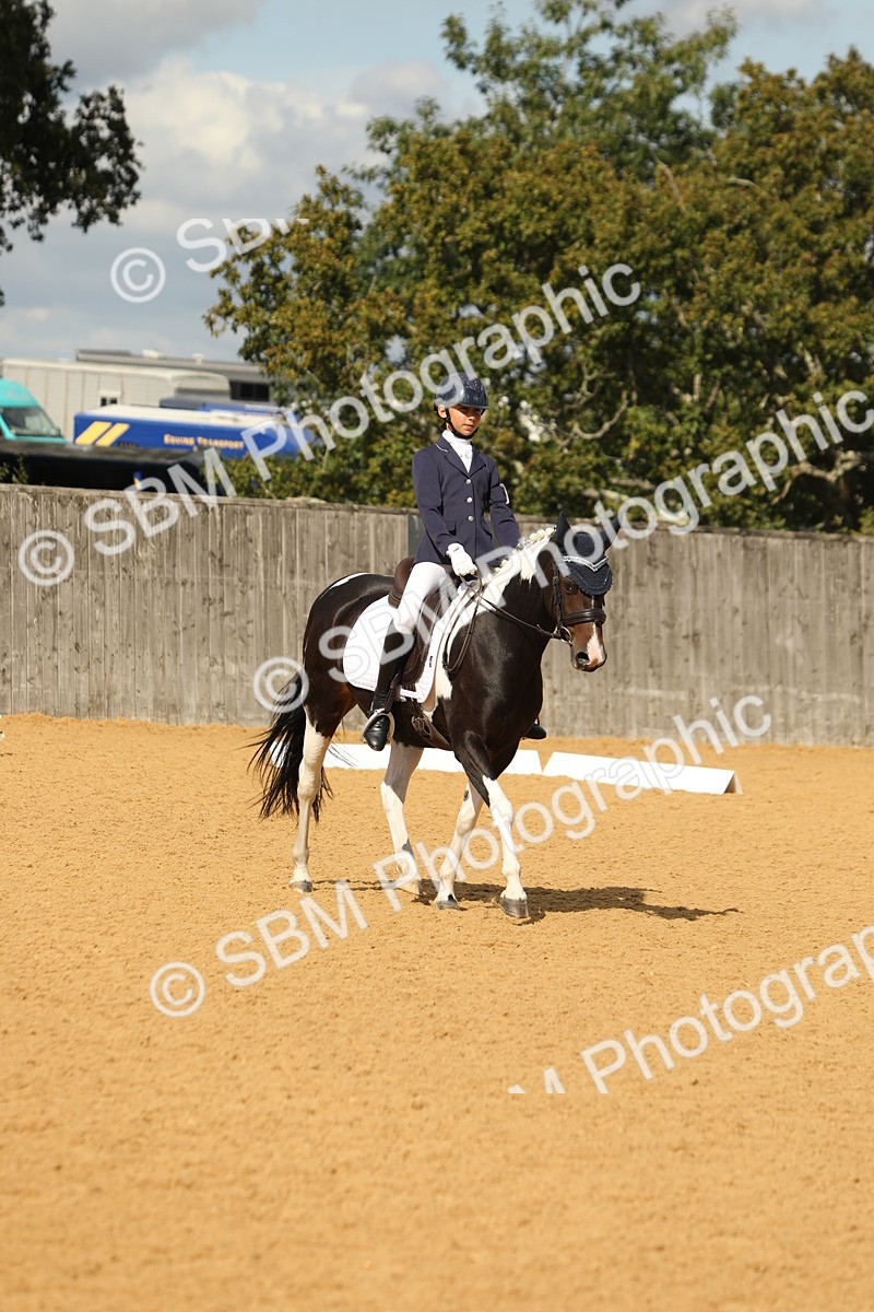 SBM_41708 - D21 - Junior Championship - Intro A