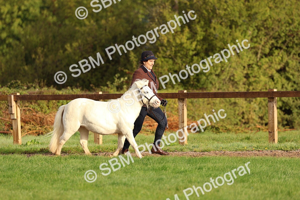 SBM_54809 - S39 - Starters In Hand Showing