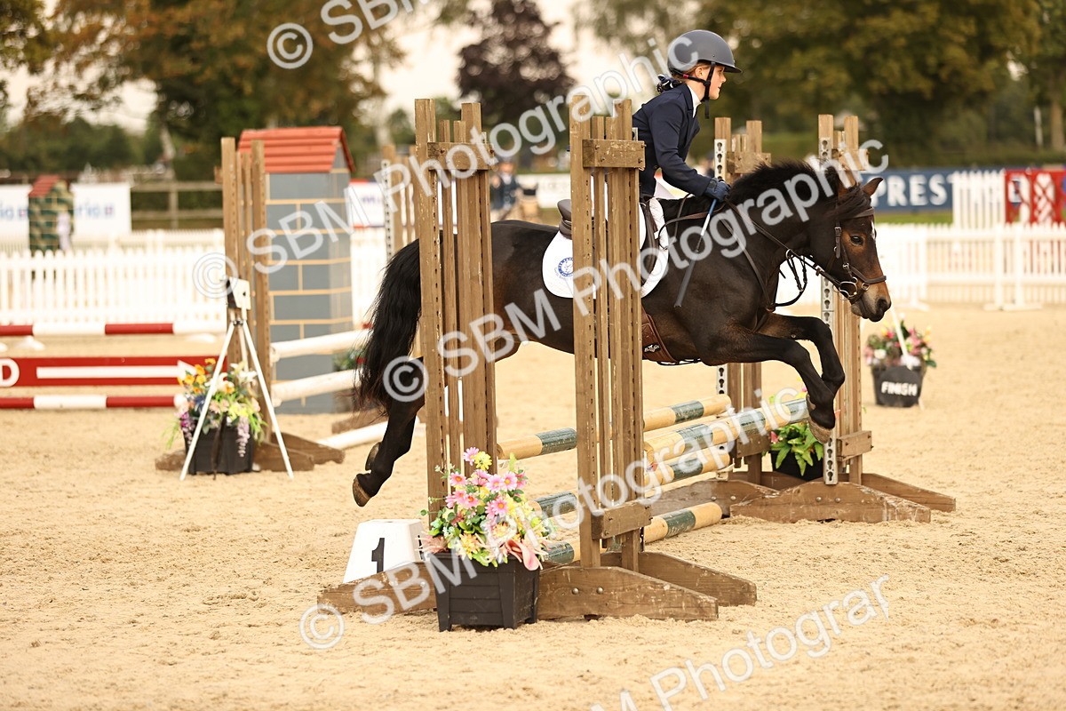 SBM_74343 - J14 - Junior Pony 65cm Championship
