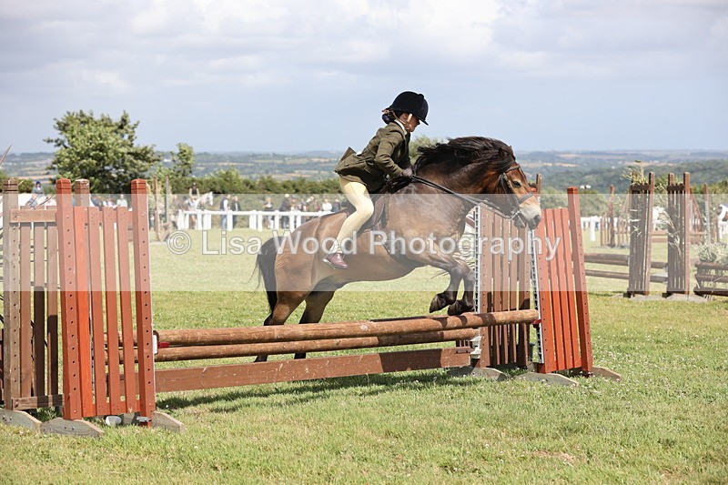 JPP_2016 - Class 19: Working Hunter 60cm