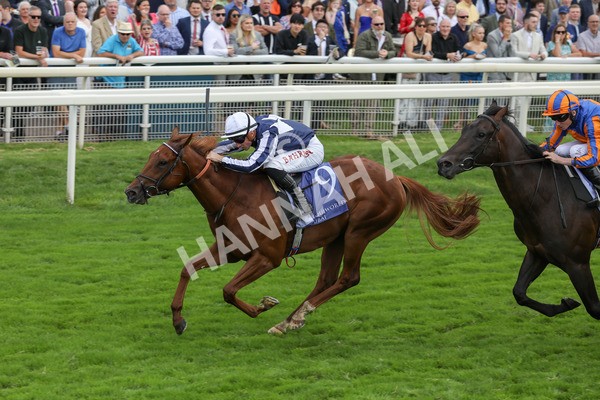 250823-Race 3-Lake Forest-5850 - Race 3 3.00pm Al Basti Equiworld Dubai Gimcrack Stakes