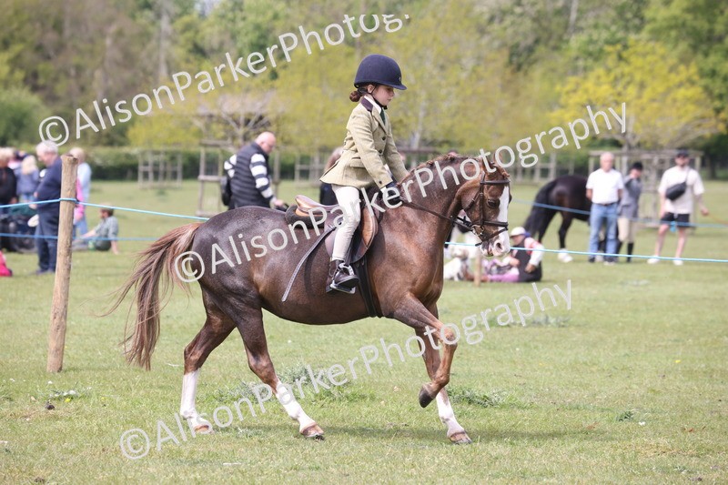 20260426-2977 - Class 33 - Best Pony 14.2hh and Under