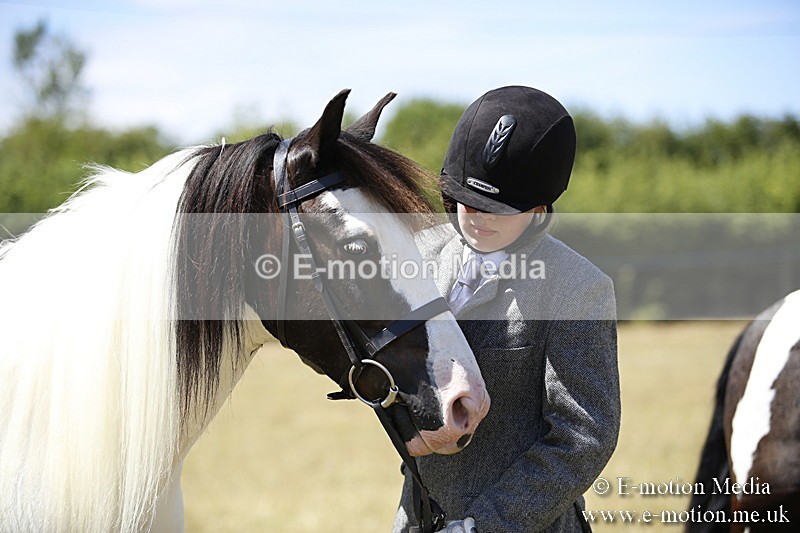 _C7A9972 - BVRC Show 2018 Ring 1