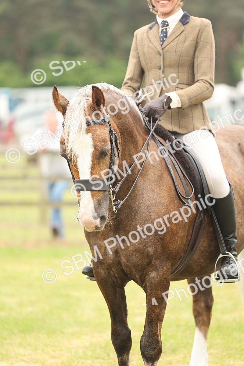 SBM_07254 - Class 76-77 - Ridden M&M Welsh Ponies