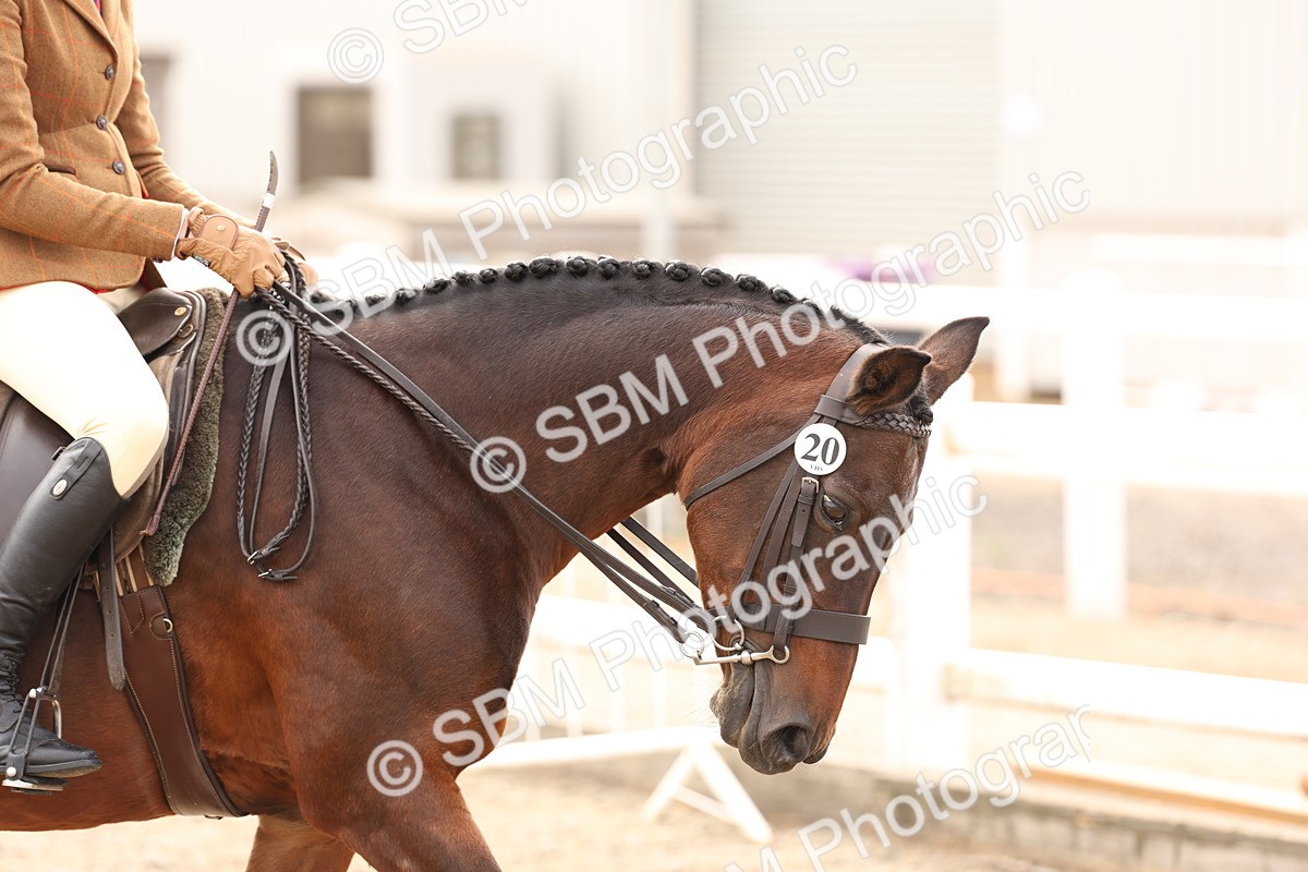 SBM_01618 - Class 52 - Ridden Veteran