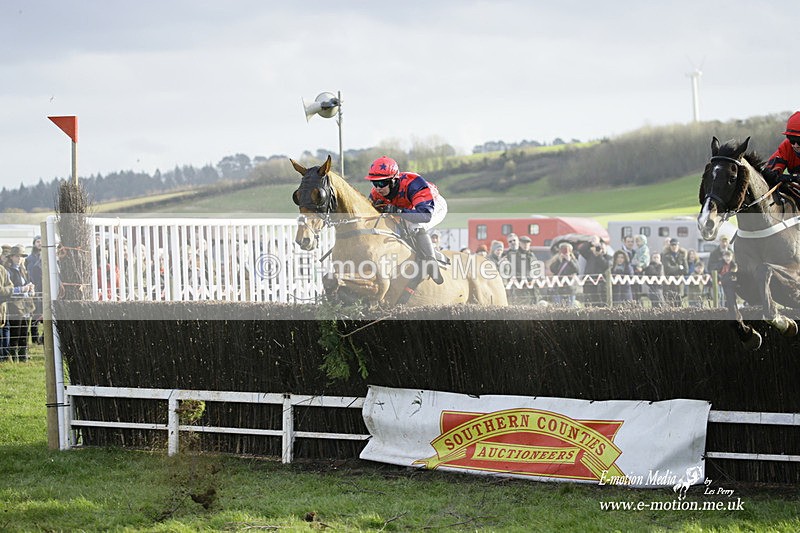 PtP 300122 494 - South Dorset Hunt - Point-to-Point Races 30/01/2022