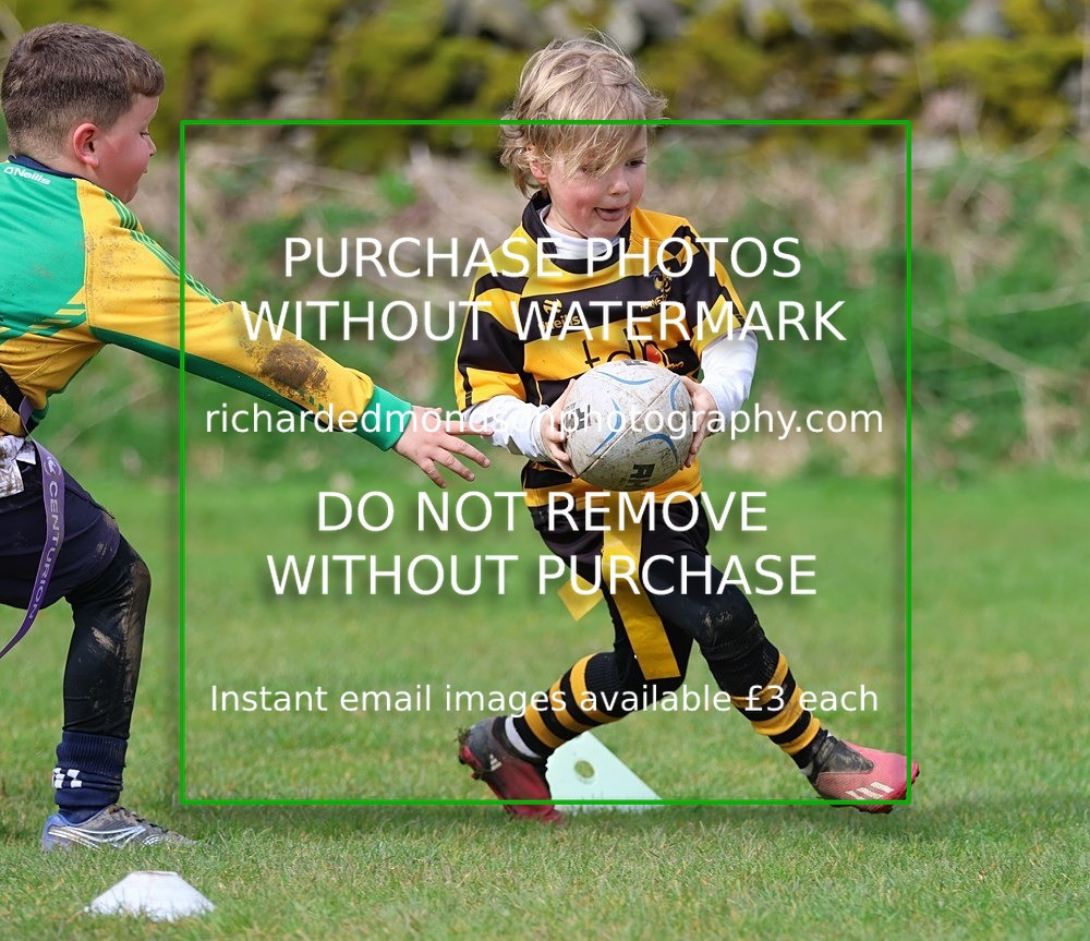 533A5349 - Kendal Rugby Under 7's (12/4/26)