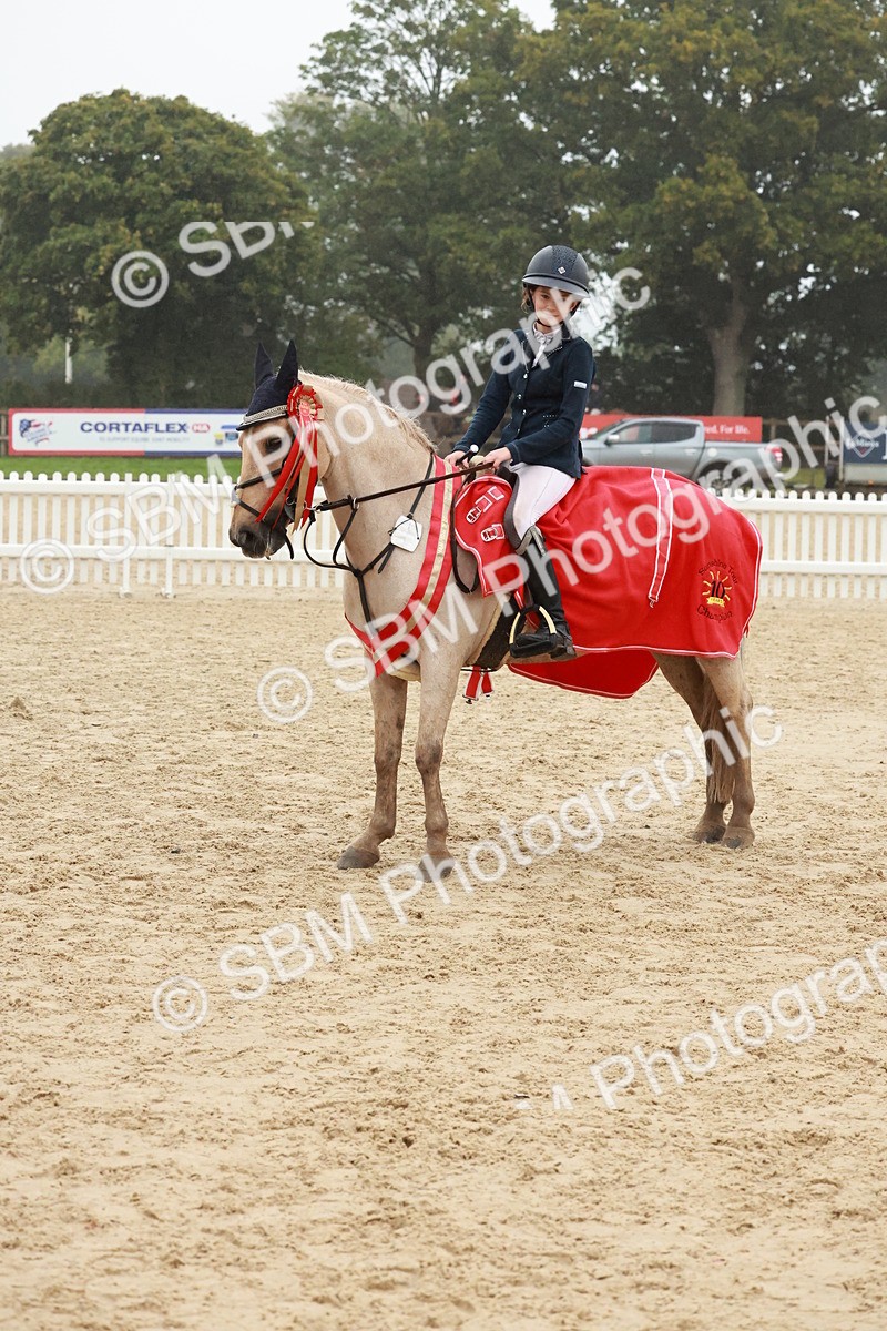 SBM_73523 - Supreme Championship Junior Pony 60cm & 65cm