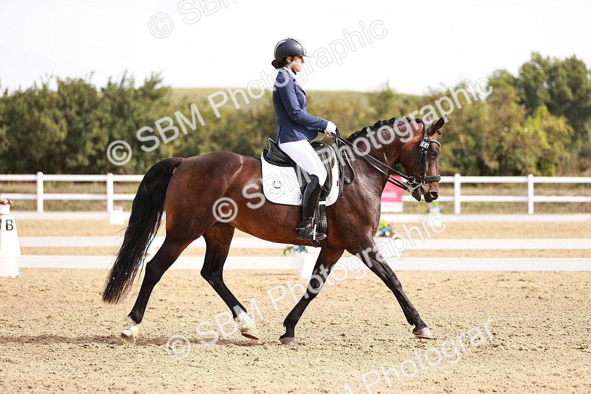 SBM_017559 - Class 11 - Advanced Medium 6