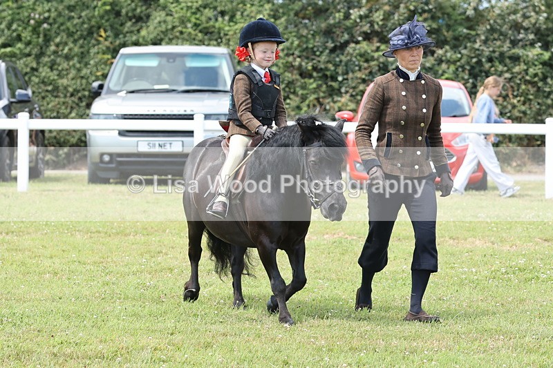 JPP_1892 - Class 18: Tiny Tots Working Hunter Pony