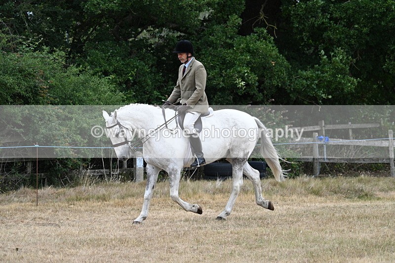 WJ7_0905 - Class 7 Riding Club Show Horse