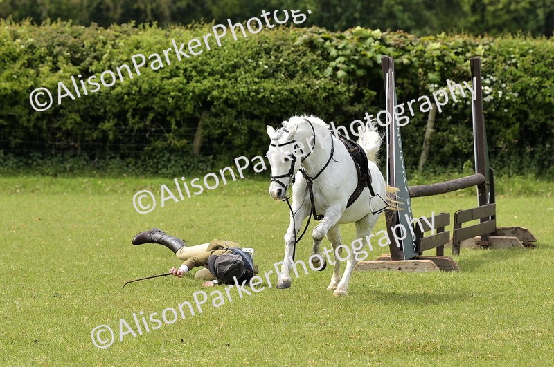 20260426-2423 - Class 21 - Working Hunter Ponies