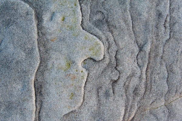  - Vermiculations