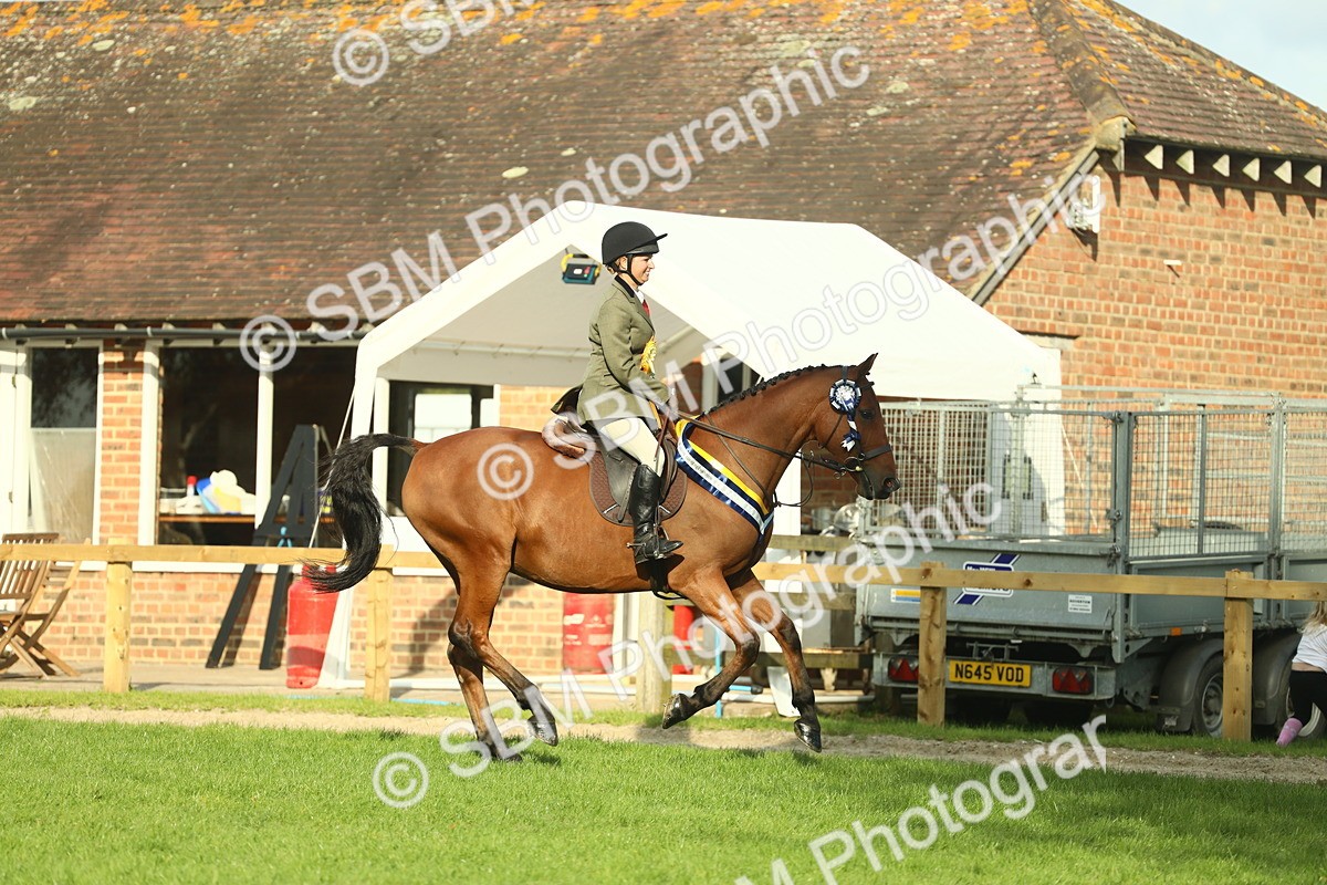 SBM_52339 - Working Hunter Supreme Championship