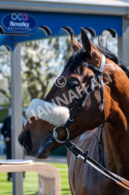 230426-Race 2-Matteo-4011 - Race 2