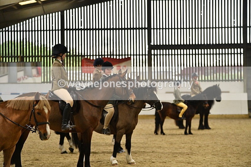 WJ5_8537 - Class 14 Novice Ridden/Rider