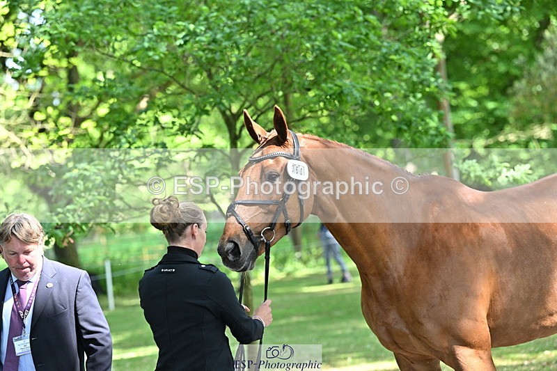 250521A-154416-00726 - B-360-Lucy.K.Wheeler-KING.CREOLE.VD.N.RANCH