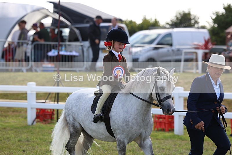 3E7A3947 - Supreme Championship