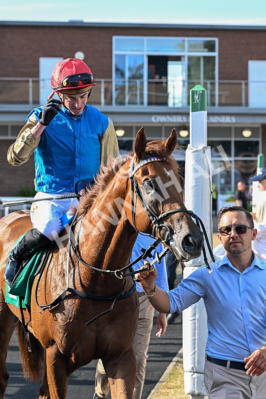 140826-Race 1-Final Objective-0719 - Race 1 17.33pm Ray And Eileen Mclean Memorial EBF Maiden Stakes