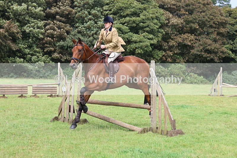 3E7A5831 - Class 26 and 27: 70cm Working Hunter