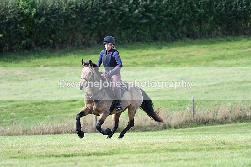 WJ7_6288 - Time 11:29 to 11:45