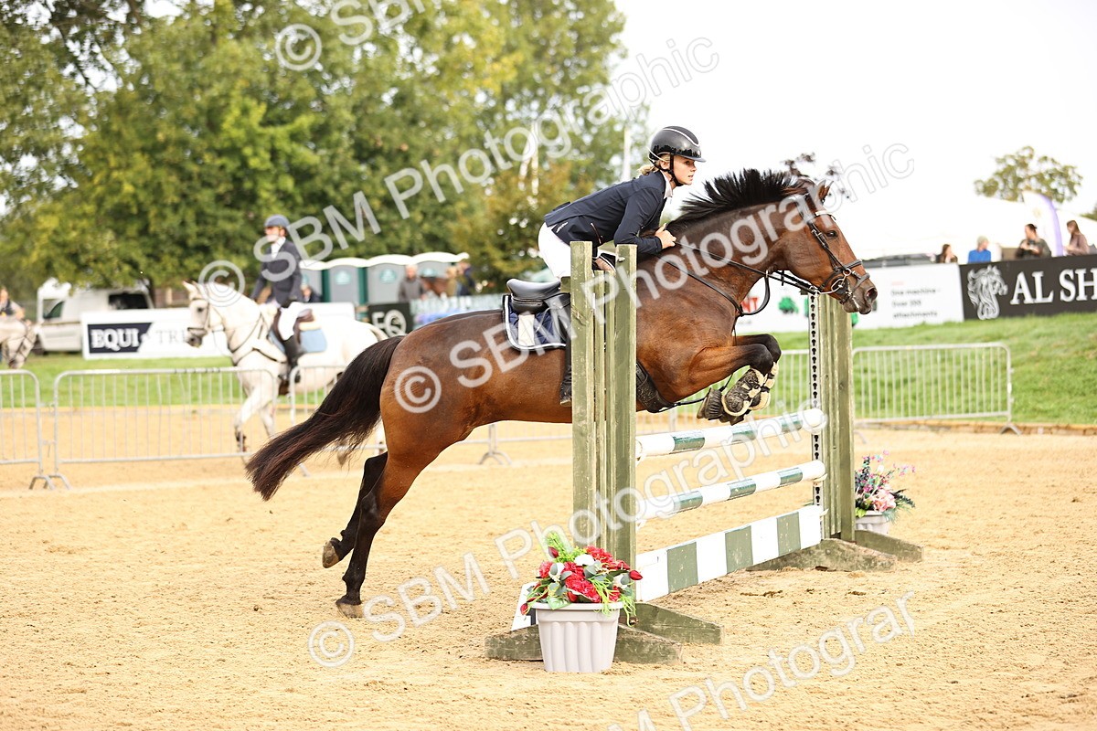 SBM_58436 - J41 - Grand Tour Horse & Pony 95cm