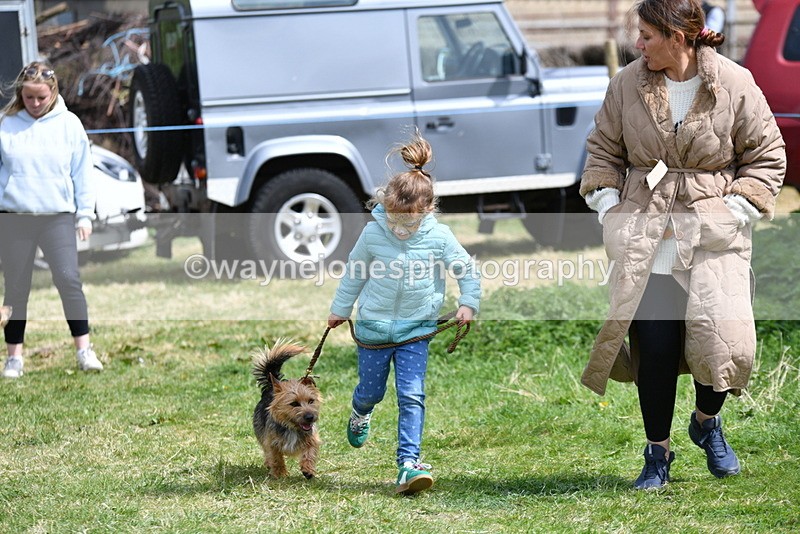 WJ5_0452 - Class 7 Best Terrier