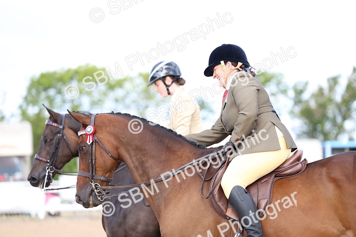 SBM_09173 - Class 303 - Ridden Pure Bred Horse Pony