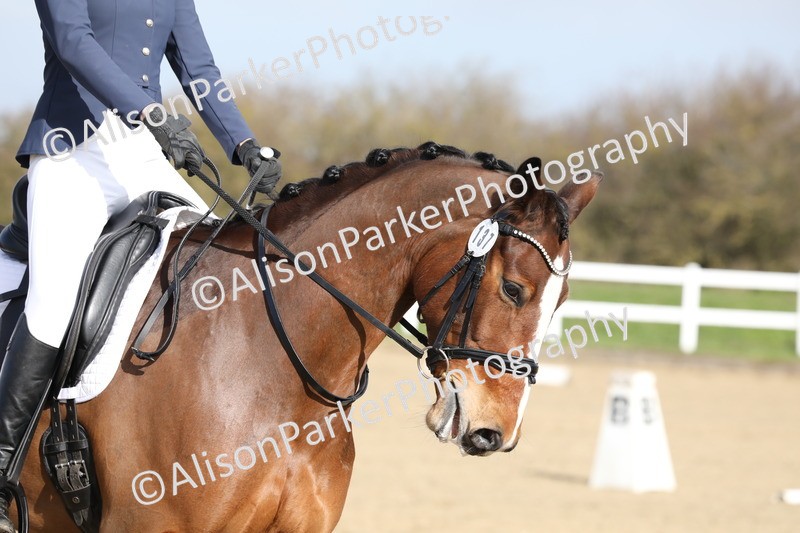 20260314-0187 - DR1 - Intro 1