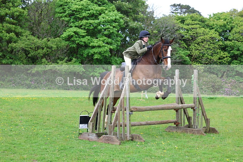 3E7A2480 - Classes 30 and 31: 80cm Working Hunter