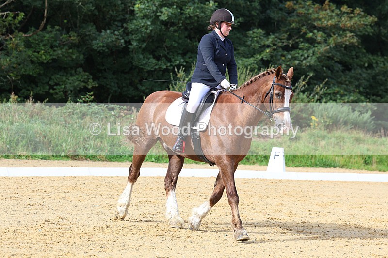 3E7A2268 - Class 1: Intro 4 2024 section A