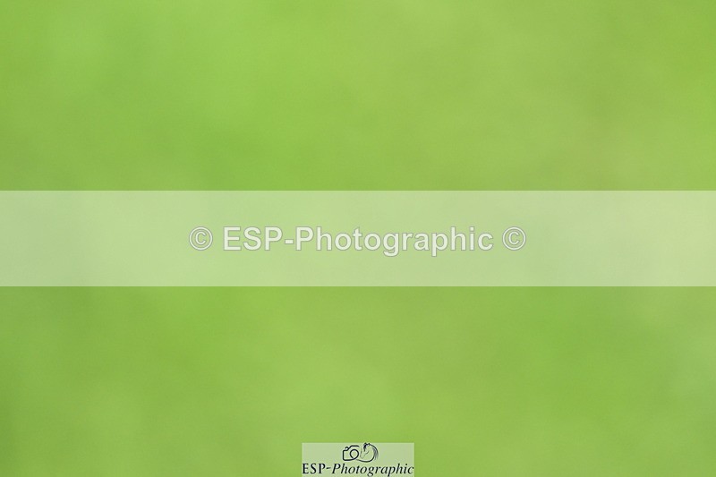 250613A-141341-02532 - Cls 4 Snr 1.20m Open