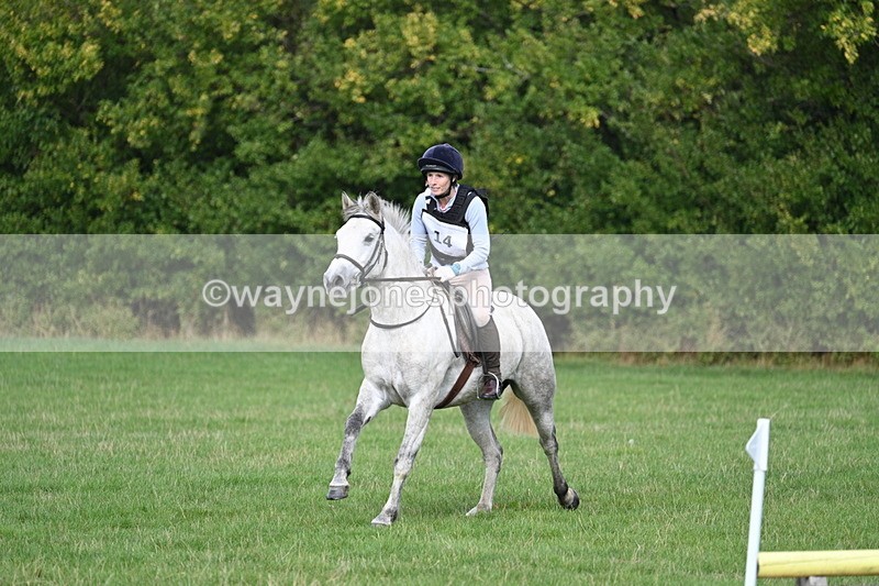 WJ7_8397 - 60cm Pairs