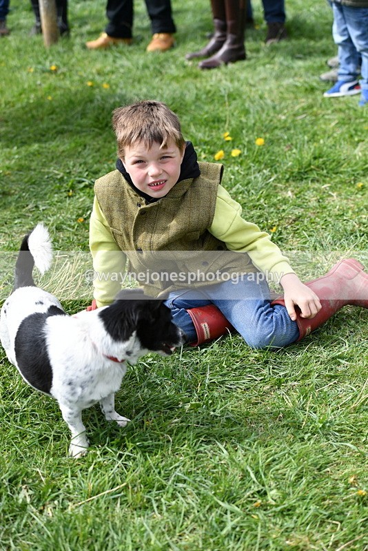 WJ5_0603 - Class 7 Best Terrier