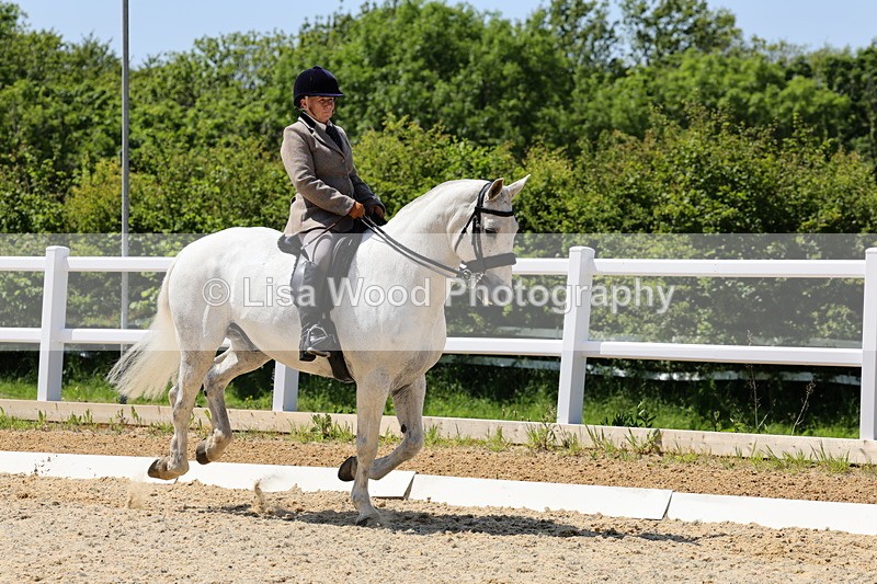 1X9A1725 - Class 11: Ridden Cob