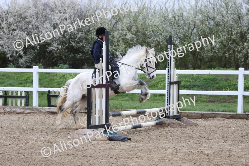 20260403-0304 - Class 2 - 50cm