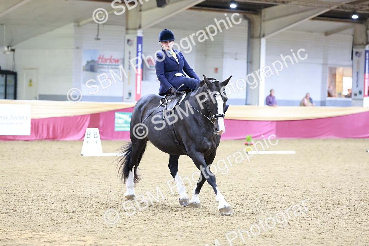 SBM_09925 - Class 61 - Dressage to Music