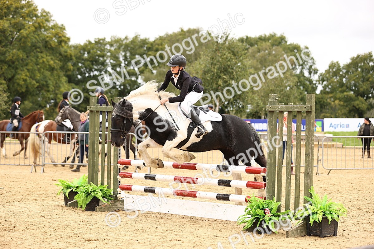 SBM_65585 - J17 - Junior Pony 80cm Championship
