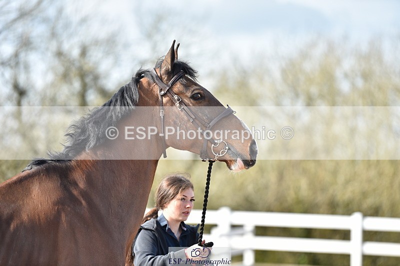 240417A-163514-01265 - 4pm to Finish