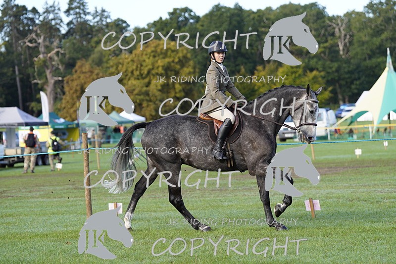 _DSC9350 - Class 8 & 17 Ridden Hunter & Ridden Hunter Pony