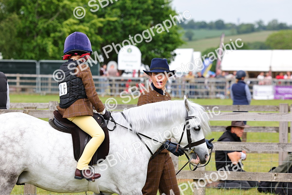 SBM_08278 - Class 42-43 - LIHS BSPS Heritage Working Sports Pony